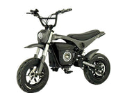 Electric Sportsman Bike, HRS Model