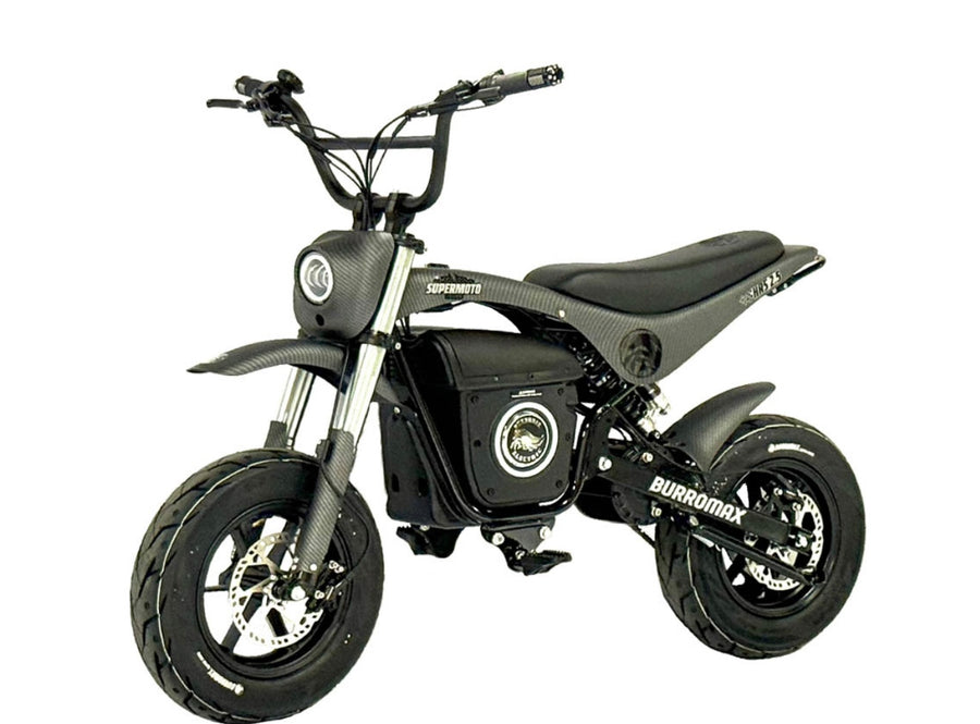 Electric Sportsman Bike, HRS Model