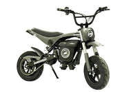 Electric Sportsman Bike, HRS Model