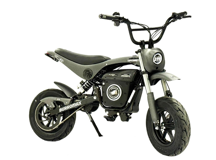 Electric Sportsman Bike, HRS Model