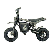 Electric Sportsman Bike, HRH Model