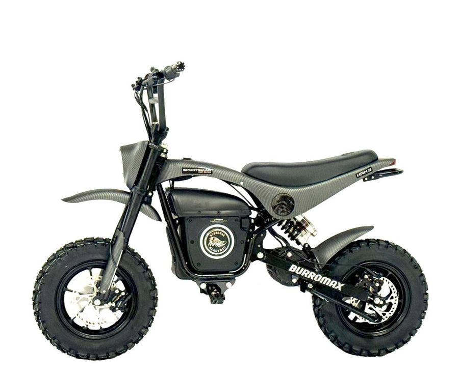 Electric Sportsman Bike, HRH Model