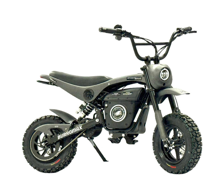 Electric Sportsman Bike, HRH Model
