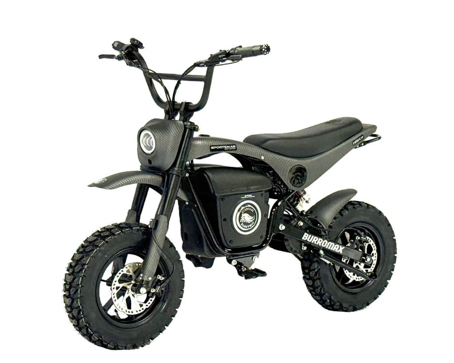 Electric Sportsman Bike, HRH Model