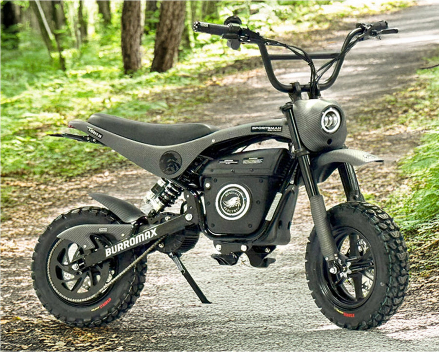 Electric Sportsman Bike, HRH Model
