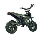 Electric Sportsman Bike, HRH Model