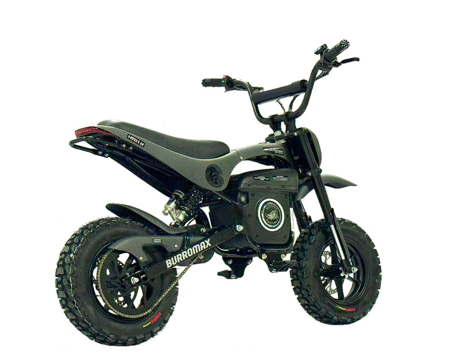 Electric Sportsman Bike, HRH Model