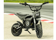 Electric Sportsman Bike, HRS Model