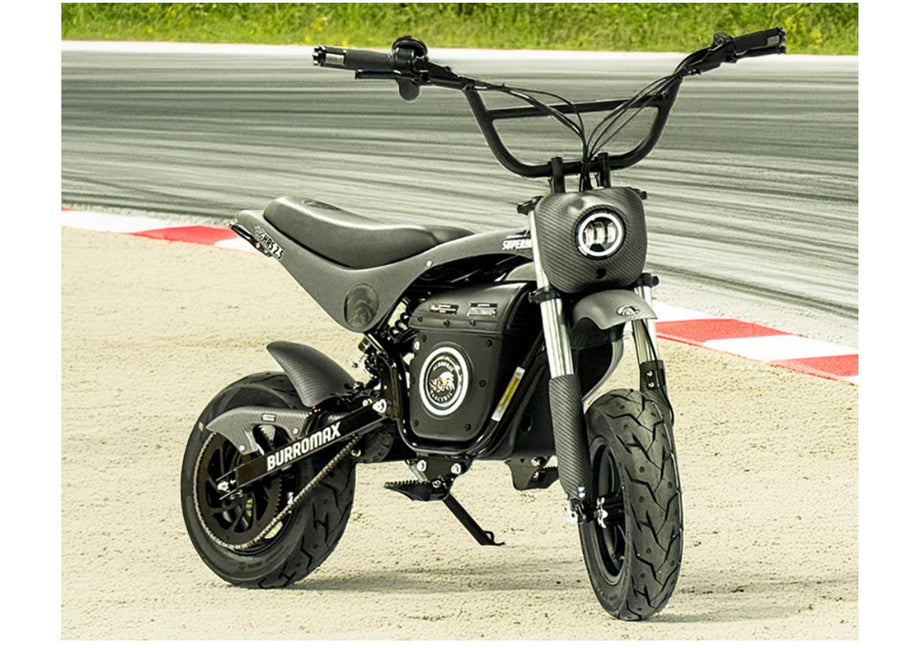 Electric Sportsman Bike, HRS Model