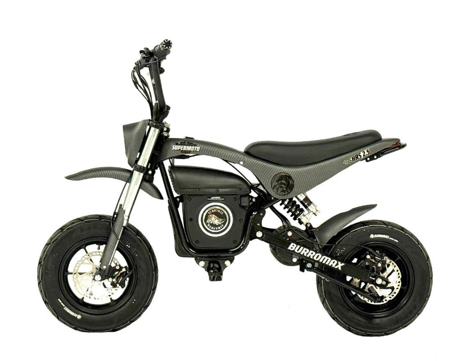 Electric Sportsman Bike, HRS Model