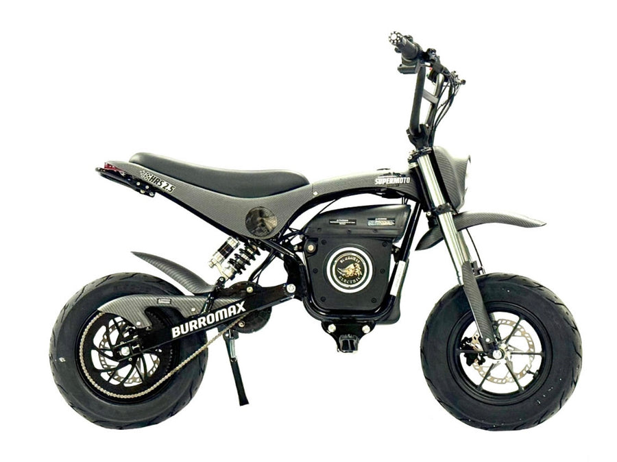 Electric Sportsman Bike, HRS Model